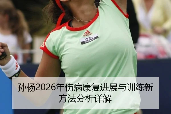 孙杨2026年伤病康复进展与训练新方法分析详解