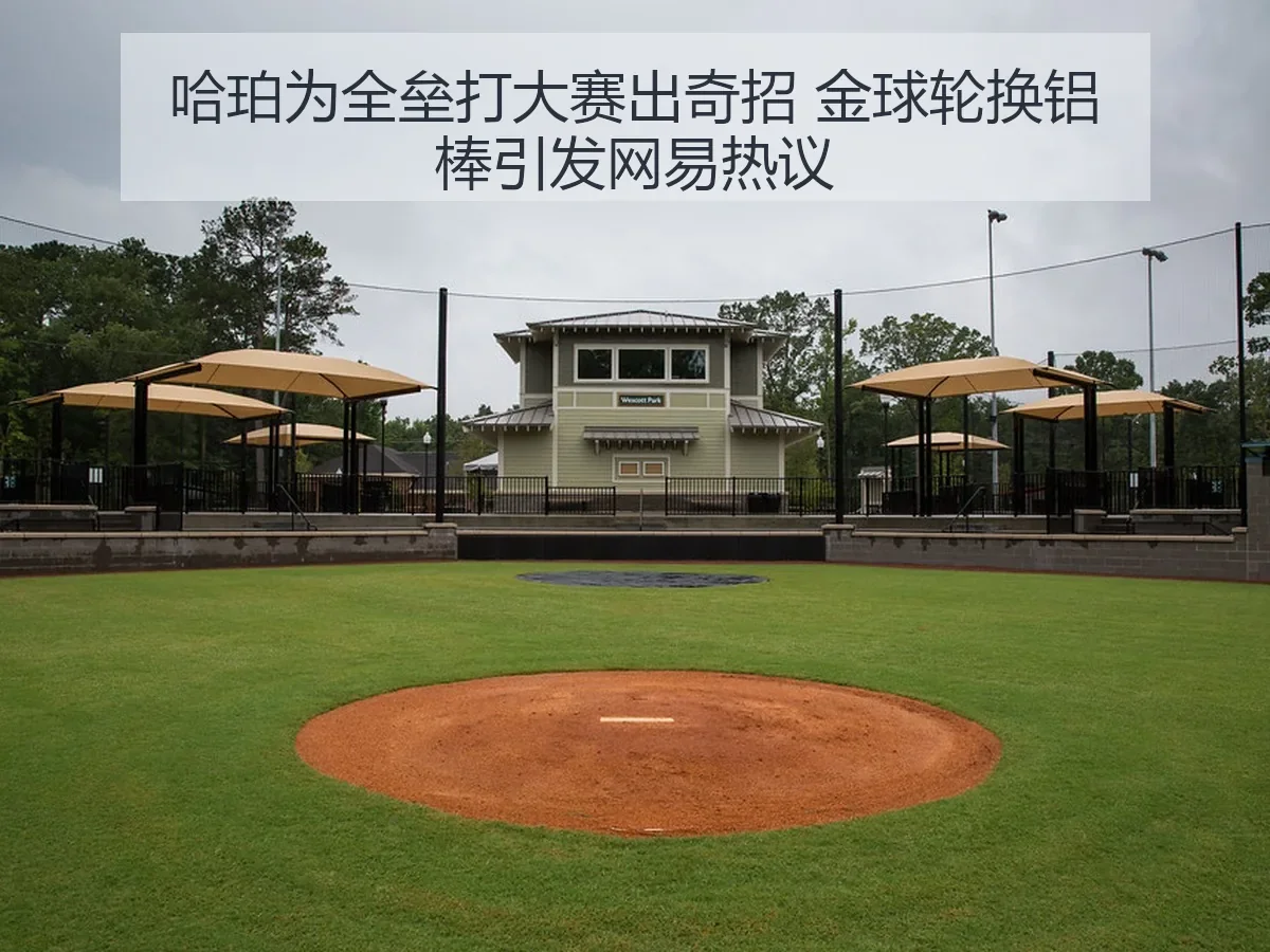哈珀为全垒打大赛出奇招 金球轮换铝棒引发热议